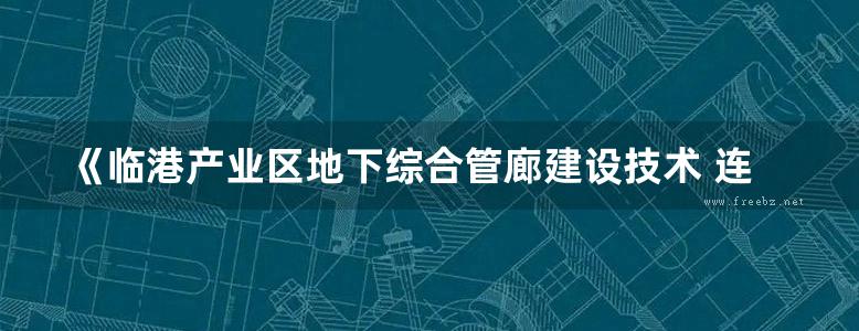 《临港产业区地下综合管廊建设技术 连云港徐圩新区地下综合管廊 》贾秉志 等著 2019 